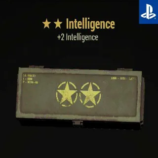 5x Intelligence MOD ⭐⭐