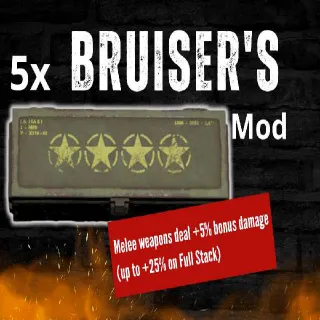 5x Bruiser's MOD