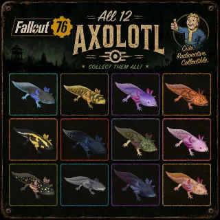All 12 Axolotl