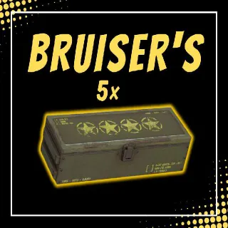 5x Bruiser's Mods