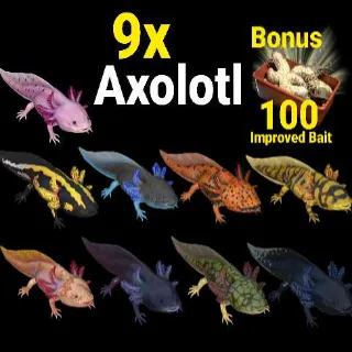 9x Axolotl 🐟