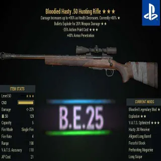 BE25 Hunting Rifle