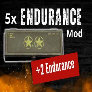 5x Endurance MOD