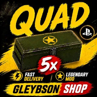 5x Quad Mods