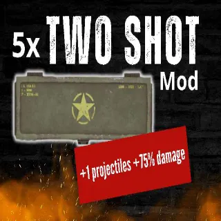 5x Two Shot MOD