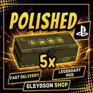 5x Polished Mods
