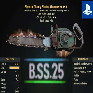 BSS25 Chainsaw