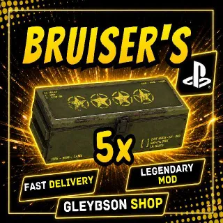 5x Bruiser's Mods