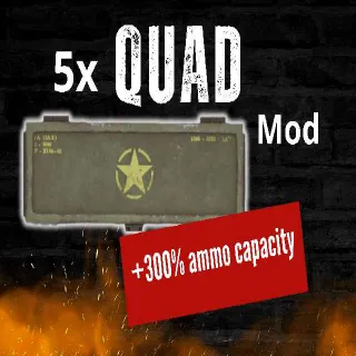 5x Quad MOD