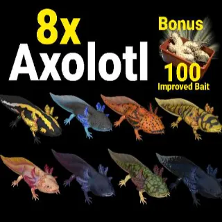 8x Axolotl