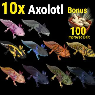10x Axolotl