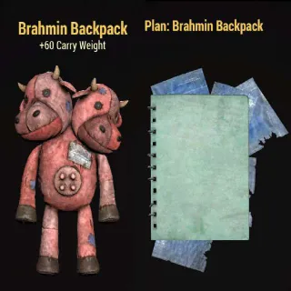 Brahmin Backpack