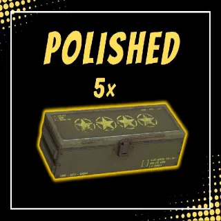5x Polished Mods