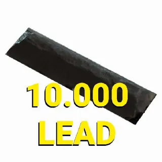 10k Lead