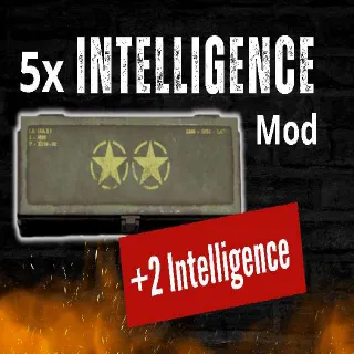 5x Intelligence MOD