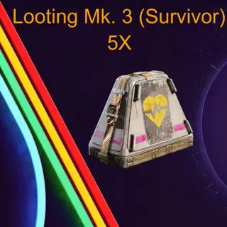  Looting Mk. 3 (Survivor) 5