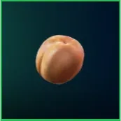 ARC RAIDERS Apricot  6x