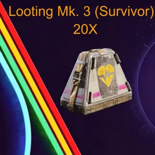  Looting Mk. 3 (Survivor) 20