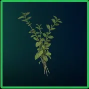 ARC RAIDERS Great Mullein 60x