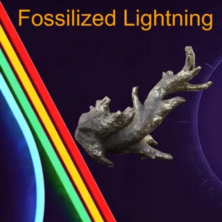 Fossilized Lightning