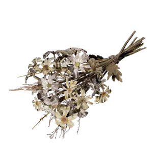 Dead Flowers