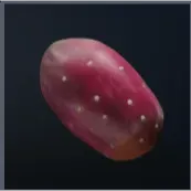 ARC RAIDERS Prickly Pear  6x