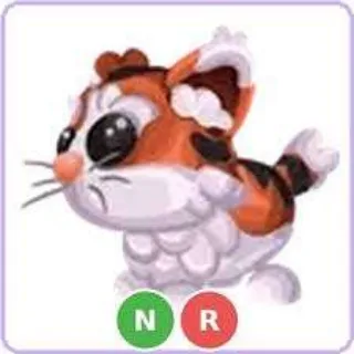 NR MUNCHKIN CAT