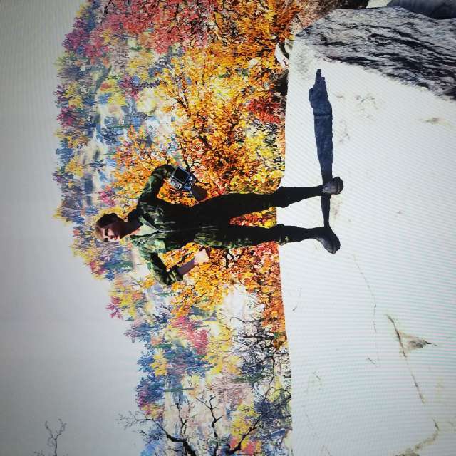 Apparel Forest Camo Jumpsuit Fallout 76 Game Items Gameflip