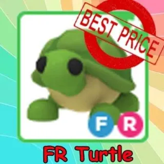 Fr Turtle