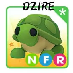 NFR TURTLE