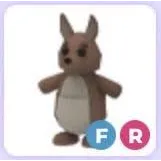 Fr kangaroo 