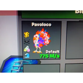Default Pavoloco