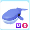 Blue Whale Mr