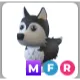 (MFR) Husky
