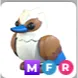 (MFR) Kookaburra