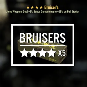 Bruisers Mod Box x5