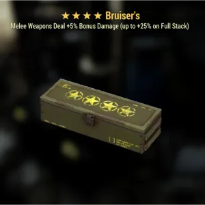 Bruisers 4 star box mod