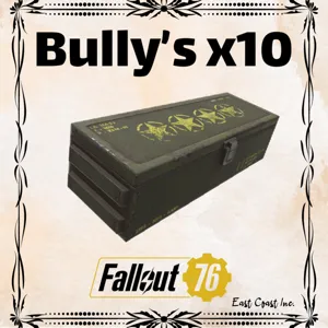 Bully’s x10