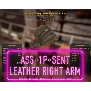 Ass 1P Sent Leather Right Arm ⭐️⭐️⭐️