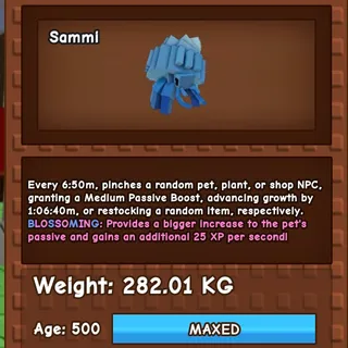 Tidal Hermit Crab