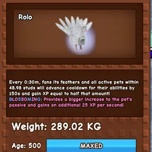 Albino Peacock