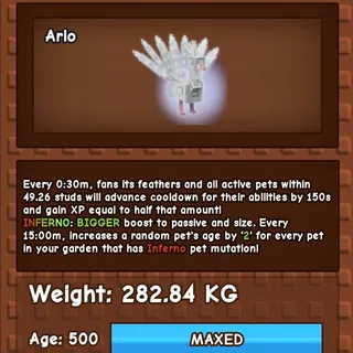 Albino  Peacock