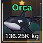 ORCA - FISH IT