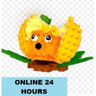 SEMI HUGE KING LIMONE 200+K