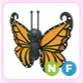 ORANGE BUTTERFLY NF