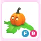 PUMPKIN FRIEND FR