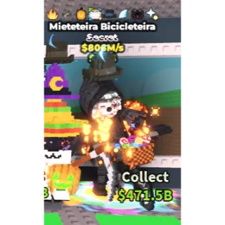 MIETETEIRA BICICLETEIRA