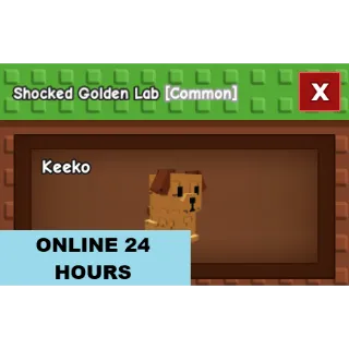 GROW A GARDEN SHOCKED GOLDEN LAB