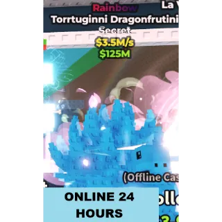RAINBOW TORRTUGINNI DRAGONFRUTINI