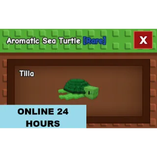 AROMATIC SEA TURTLE